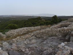 Yacimiento de la Almoloya 2023